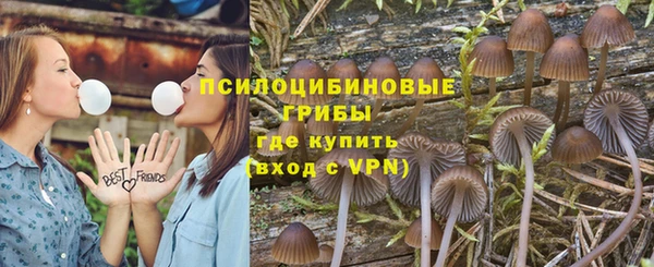 дурь Аркадак