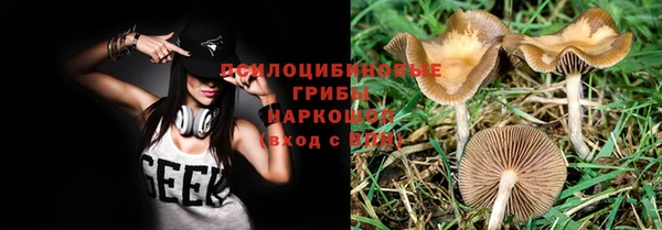 дурь Аркадак