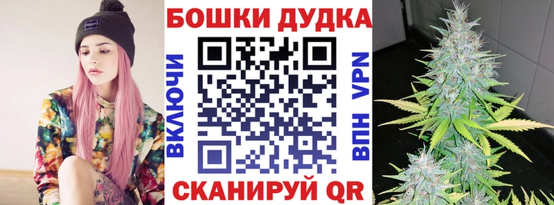 Конопля семена  Купить  Среднеколымск 